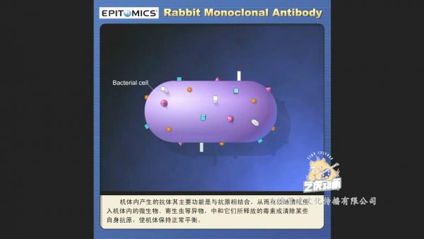 flash動畫制作圖片